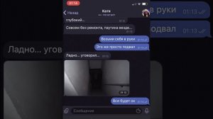 Бокси Бу бродит по моему дому