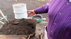 Дела огородные. Карась с доставкой на дом .