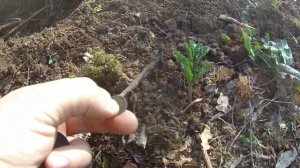 Снайперка  #MAGIC 5×8 для  #GARRETT AT PRO в деле!