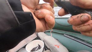 Хариус на порогах, попловочный настрой на течении.#Хариус #Река #Пороги #ОтдыхКарелия #РыболовныйГи