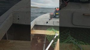 казанка 5м3 и ветерок 8