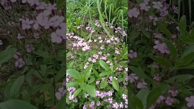 Пожелание ХРИСТИАНИНУ                    #христианскиестихи #поэзиядуши #христианам