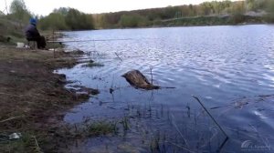 Заозерье. Богородск. Сохраним чистоту красивого озера. Социальный видеоролик