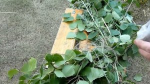 Секретный узел для веника