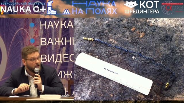 Василий Новиков| Эпоха викингов и современные технологии