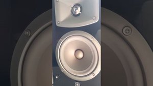 Yamaha NS 333