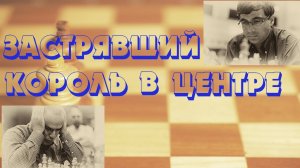 Урок 29 Застрявший король в центре Каспаров -Ананд