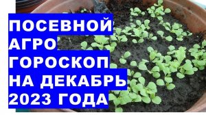 Посевной агрогороскоп на декабрь 2023 года Sowing agrohoroscope for December 2023