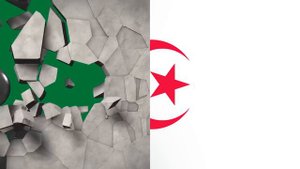 Flags Transitions | World Flags Animation