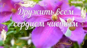 С днем ангела МАРИНА! Красивое поздравление для Марины с именинами!