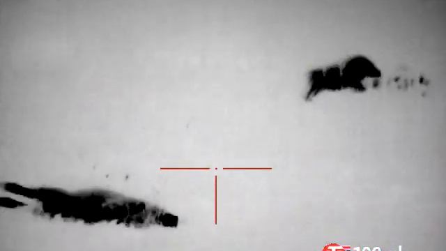 ATN Thor 4 384 смотреть онлайн