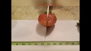 Сравниваем 3 сорта клубники. Элли, Люция, Лималексия.