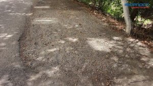 Жители Максимовой дачи рассказали о проблемах района