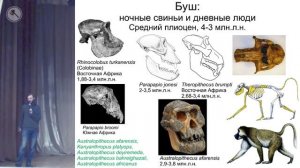 Станислав Дробышевский. Кошки, гиены, свиньи, павианы, ЛЮДИ: связь через века (Тольятти, 13.02.2021