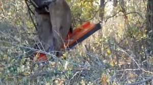 Обрезчик деревьев часть 1