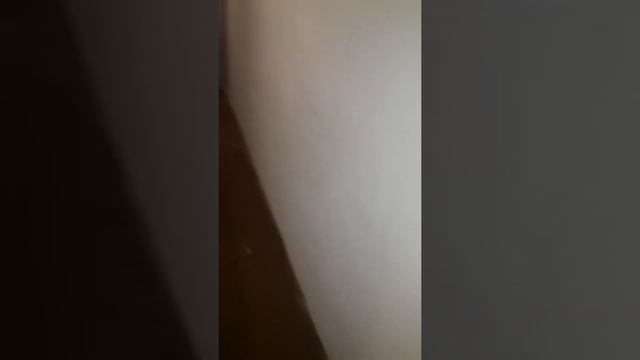 Кладовки от пика затоп не большой перед отопитнльным сезоном смотреть онлайн