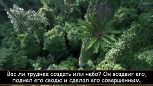 Сура Назиат. Файсал ар Рушуд