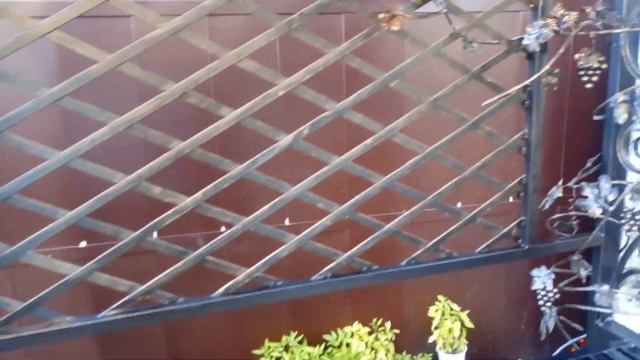 Крутой мангал с крышей и ковкой смотреть онлайн