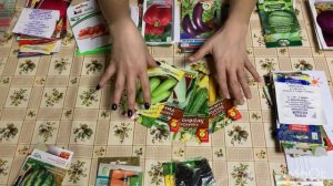 Семена овощей на 2023 год. Что я буду сажать в этом сезоне.