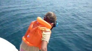 Рыбалка в Лазаревском 2016