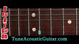 Drop B Tuning - Drop B Online Guitar Tuner