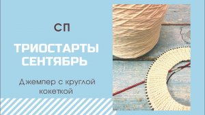 СП "Триостарты сентябрь". 2 старт. Джемпер с круглой кокеткой из пряжи хлопок/кашемир.