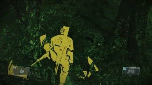 Metal Gear Solid 5: The Phantom Pain. Как быстро найти Леопардовую Черепаху (Leopard Turtle)