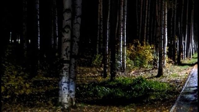 К Фофанов Под музыку осеннего дождя #стихиобосени#философскаялирика#поэтыСеребряноговека смотреть онлайн