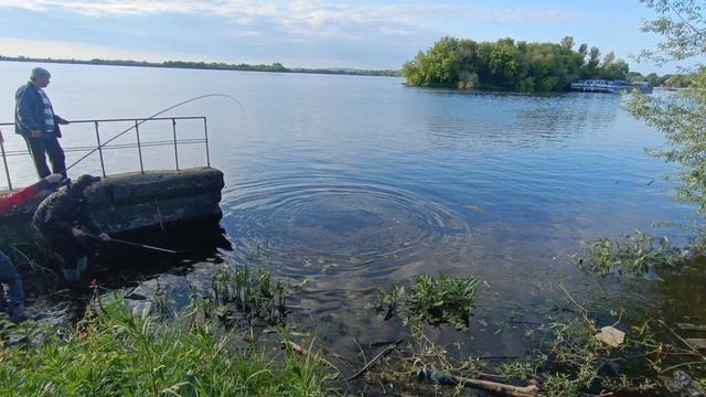 Рыбалка на москве реке