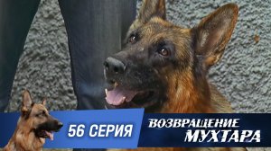 «Возвращение Мухтара — 2». 56 серия. «Настоящие мужчины»