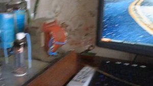 ламповый усилитель на 6п44с своими руками