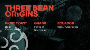 From bean to bar in Belgium - Callebaut bean blender