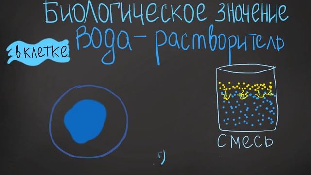 Урок№2 - ВОДА - Зачем Пить Воду? | Биологическая Роль Воды в Организме Человека смотреть онлайн