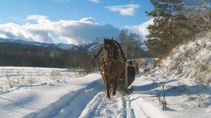 "Сани" на стихи А. Жигулина