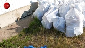 Севморсубботник-2023. Часть 5