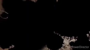 история Рыси - shadow fight 2 /shadow fight arena