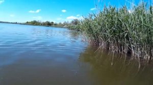 ПОЛЗУЧИЕ В УКРАИНЕ УЖЕ СОВСЕМ СТРАХ ПОТЕРЯЛИ!!! ЗМЕИ В ВОДЕ !!!