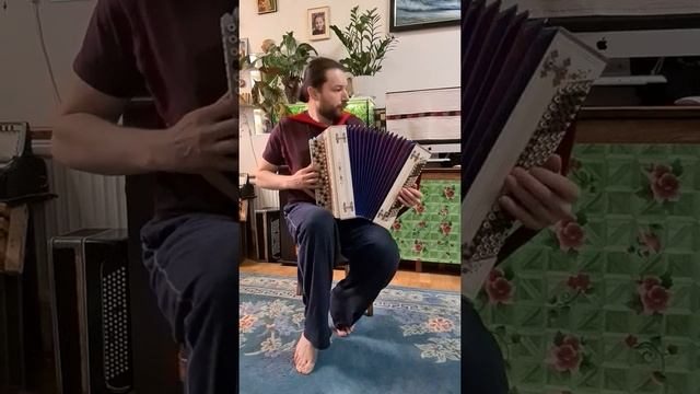 кустарный баян ,,тирольский вальс"