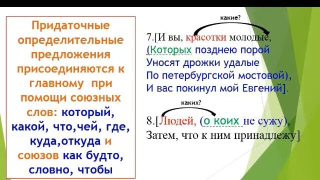 спп  с придаточным  определительным