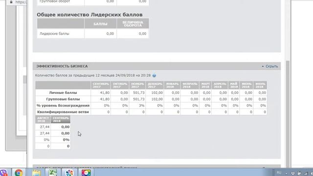 Для VIP клиентов Амвэй - где посмотреть годовой оборот свой и своих партнеров. смотреть онлайн