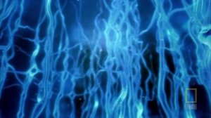 Внутри живого тела