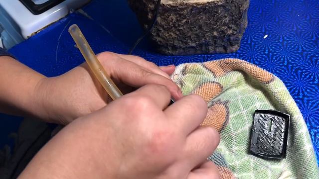 Погостили, пора и честь знать. :-)  (08.11.19) смотреть онлайн