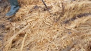 медный поезд . Бензорез снова в деле. Всё из за металла копа