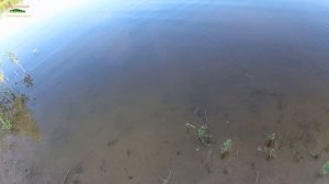 Копия MEGABASS I-SLIDE 135B за 200 руб.(US $ 2,7) с Алиэкспресс !!! Обзор !