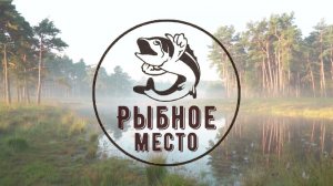 Канал Рыбное место