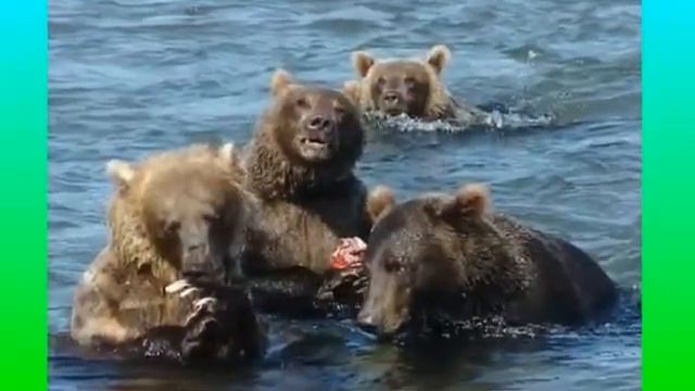 Сахалин ностальжи 2