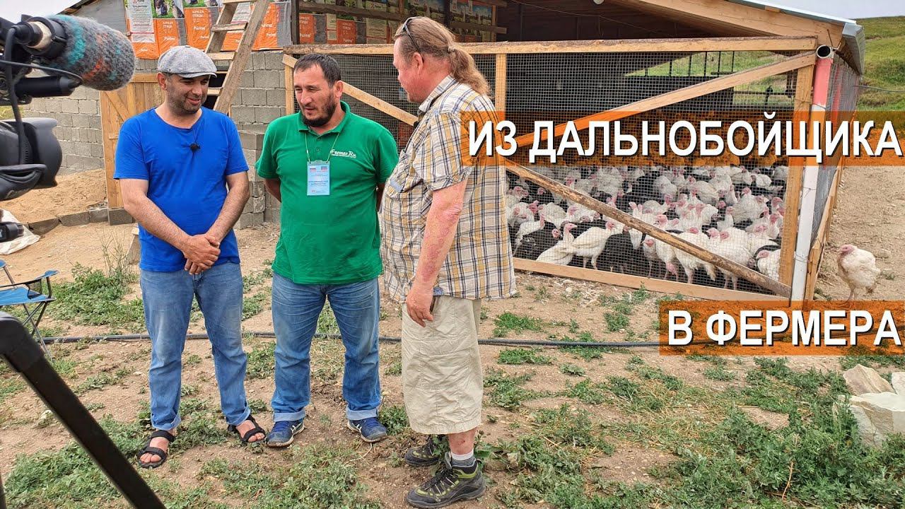 Капуста и птица. Сельскохозяйственный бизнес Магомедова Заура