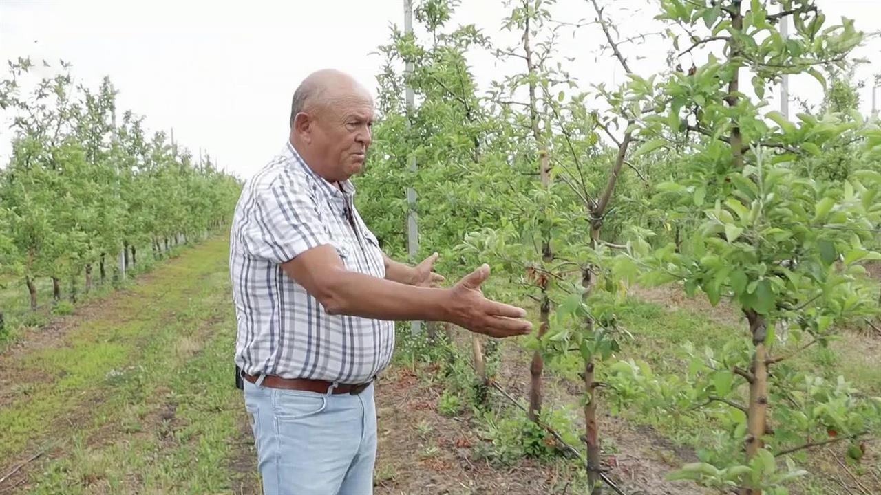 Непростой урожайный год: майские заморозки подорвали планы сельхозотрасли