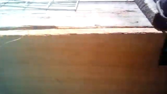 Наши животные которые живут в загоне !!!?))) смотреть онлайн