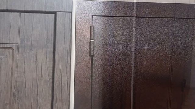 Металлическая дверь 